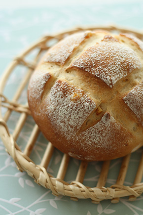 レギュラーレッスン体験会