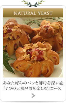 あなた好みのパンと酵母を探す旅『7つの天然酵母を楽しむ』コース